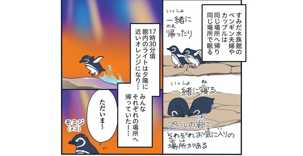 流血！すみだ水族館で恋の修羅場「下町ペンギン物語」第三話(2/12)