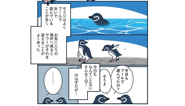 流血！すみだ水族館で恋の修羅場「下町ペンギン物語」第三話(4/12)