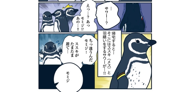 流血！すみだ水族館で恋の修羅場「下町ペンギン物語」第三話(8/12)