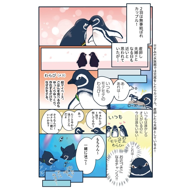 恋の修羅場にあった真実「下町ペンギン物語」第四話(9/15)