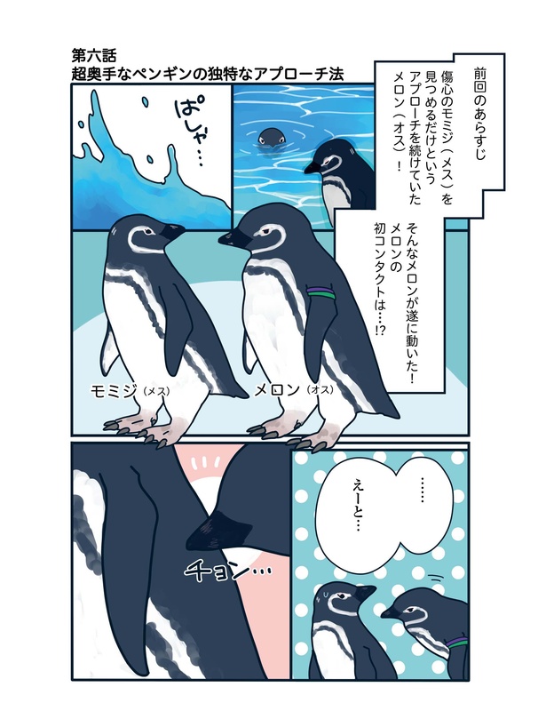 超奥手なペンギンの独特なアプローチ法「下町ペンギン物語」第六話(1/4)