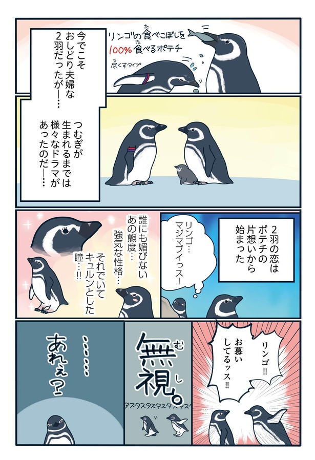 ヤンキー夫婦の産卵「下町ペンギン物語」第七話(2/6）