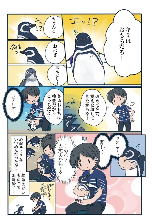 ペンギンの飼育員にとって大切なこととは…？「下町ペンギン物語」第十話(3/6)