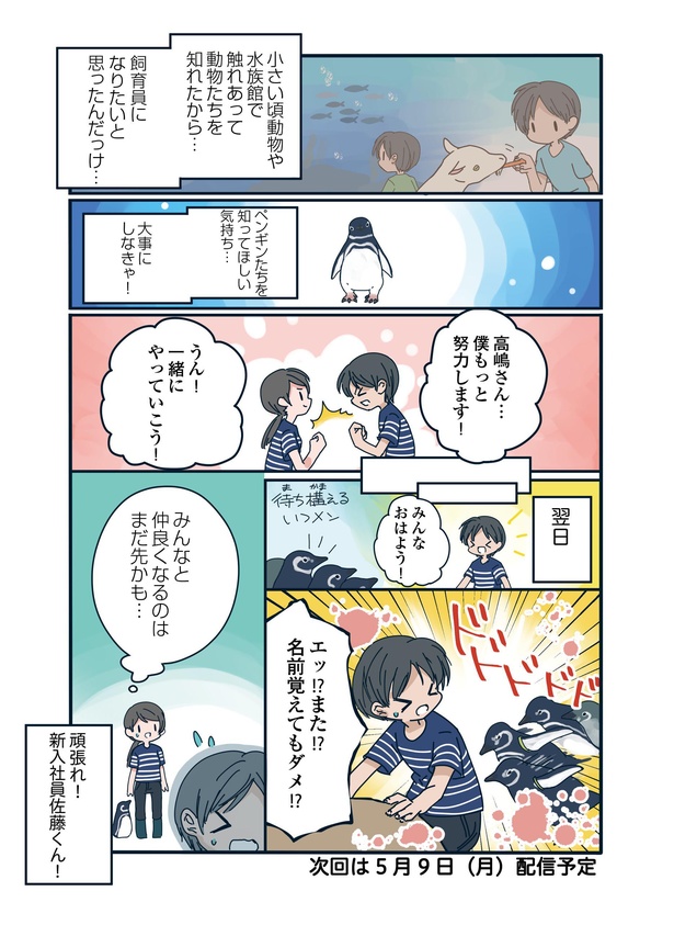 ペンギンの飼育員にとって大切なこととは…?「下町ペンギン物語」第十話(6/6)