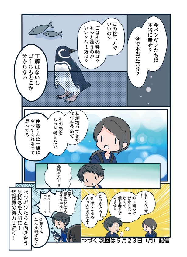 神飼育員とペンギンの関係「下町ペンギン物語」第十一話(4/4)