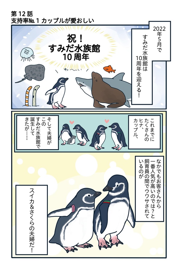 支持率No.1カップルが愛おしい「下町ペンギン物語」第十二話(1/6)