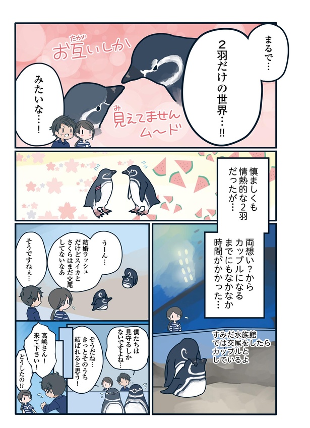 支持率No.1カップルが愛おしい「下町ペンギン物語」第十二話(5/6)