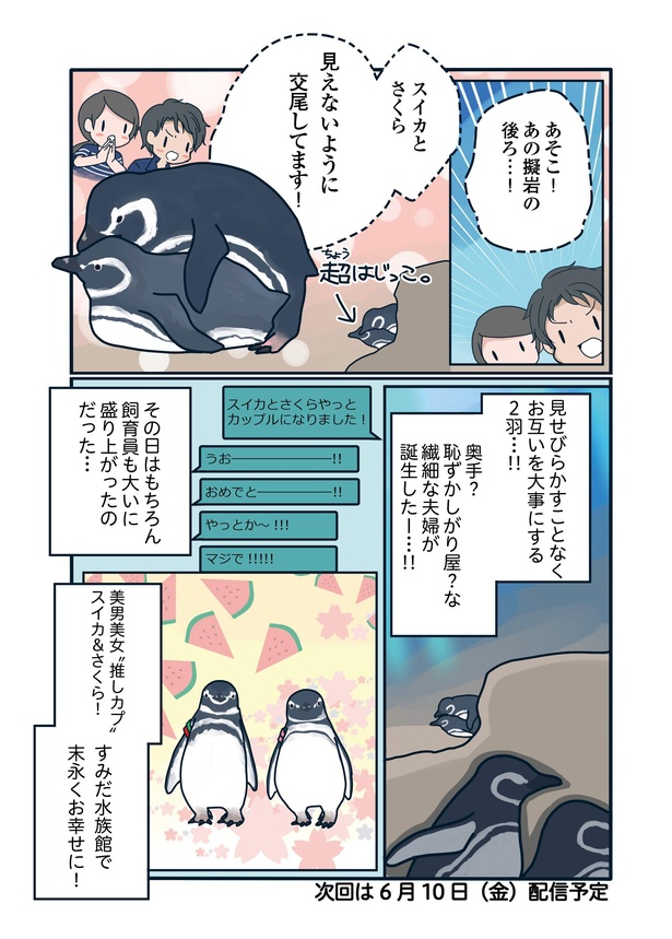 支持率No.1カップルが愛おしい「下町ペンギン物語」第十二話(6/6)