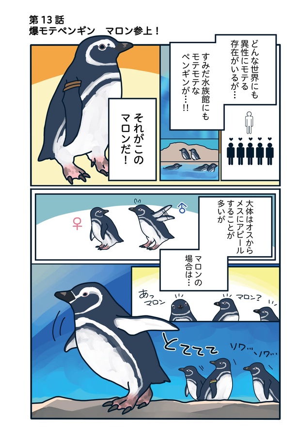 爆モテペンギン・マロン参上!「下町ペンギン物語」第十三話(1/4)