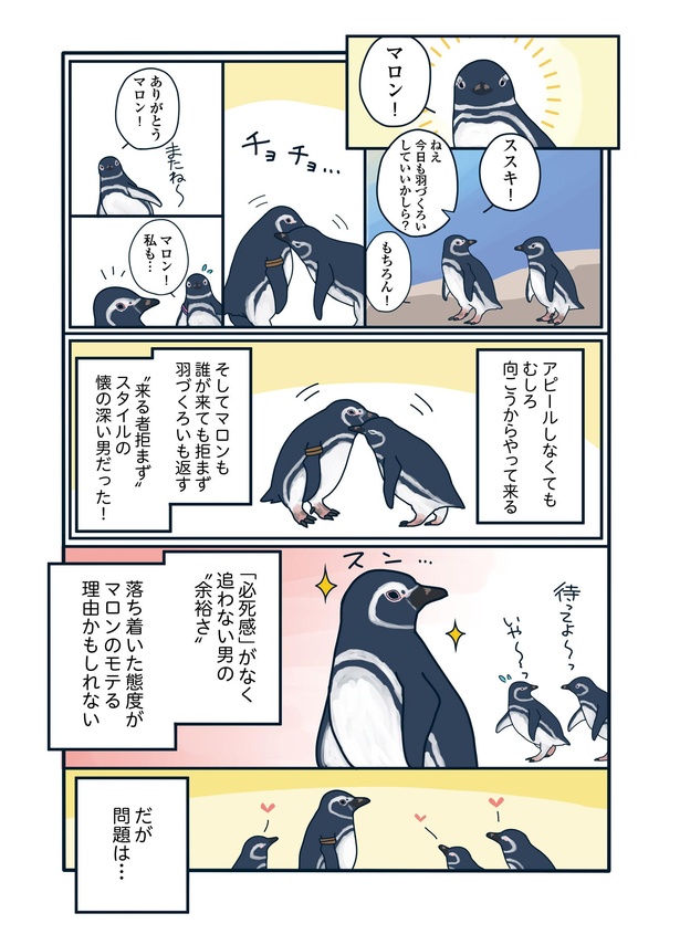 爆モテペンギン・マロン参上!「下町ペンギン物語」第十三話(2/4)
