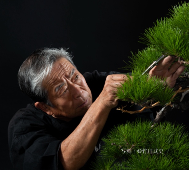 盆栽芸術家の小林國雄による盆栽を、鑑賞できる