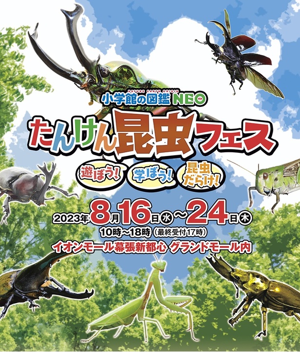 「小学館の図鑑NEO たんけん昆虫フェス」の開催は2023年8月16日(水)～24日(木)
