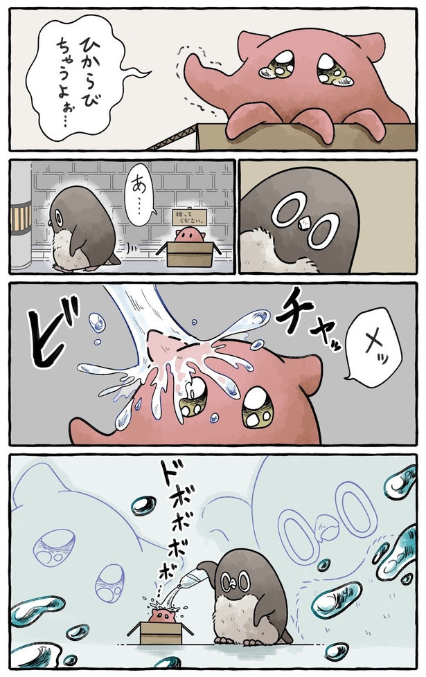 メンダコを拾った話2