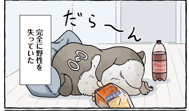 都会の食べ物が美味し過ぎて、狩りを忘れて自堕落に