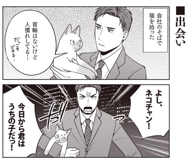 部長、猫になる_P001