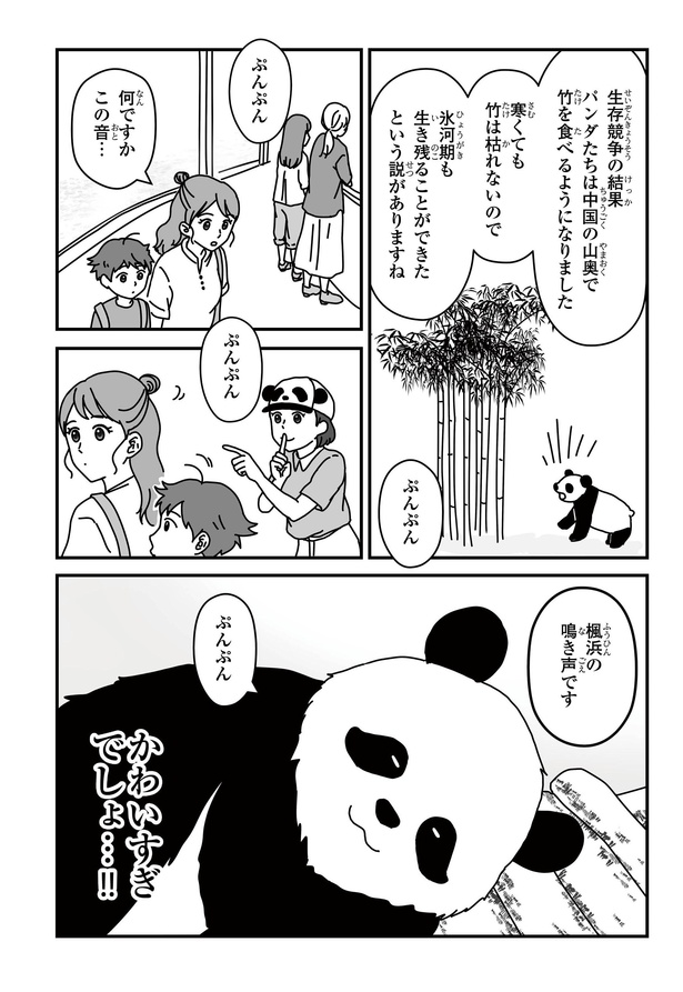 「パンダのミライー浜家・良浜 いのちの物語ー」#1(11/13)