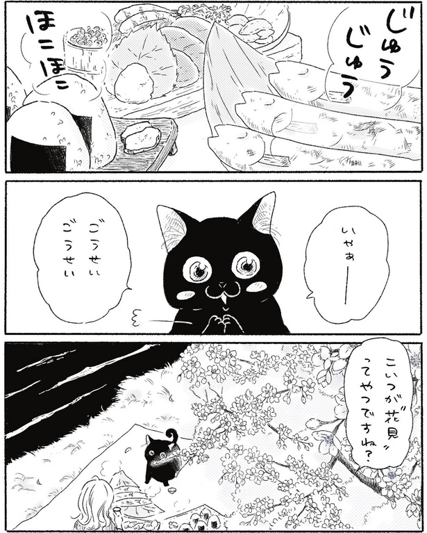 漫画】急死した愛猫へ最後に伝えたかった言葉とは…愛に溢れた不思議な