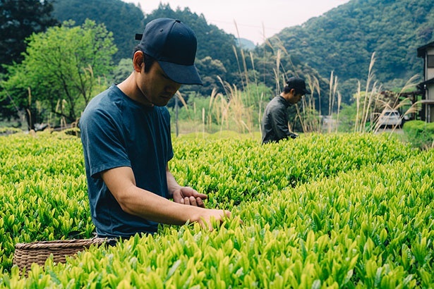 「フルーテ」と「エルブテ」はTHE CRAFT FARM社との共同開発