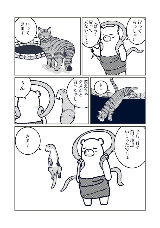 猫の柄の話し(9)