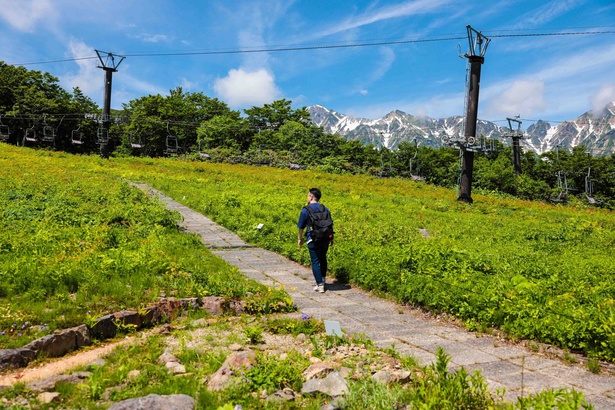 高山植物を気軽に散策しながら楽しむことができる「白馬五竜高山植物園」