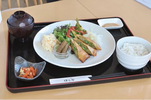 旬の新鮮野菜をふんだんに使った人気のほなみ定食(1000円)。メインデッシュのほかに惣菜が4品、つけもの、みそ汁、ご飯が付きます。