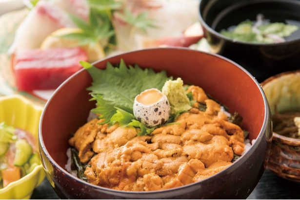 「花靖」の看板メニューはウニがたっぷりのうに丼膳(2,400円)。刺身5点盛りなどが付くお値打ち品