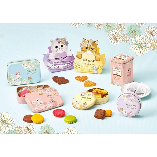 ポール ＆ ジョー」と「ダロワイヨ」がコラボ！“にゃん”ともかわいい