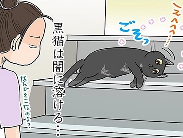 黒猫は闇に溶ける…!?意外すぎる場所に潜む猫たちの不思議な生態とは