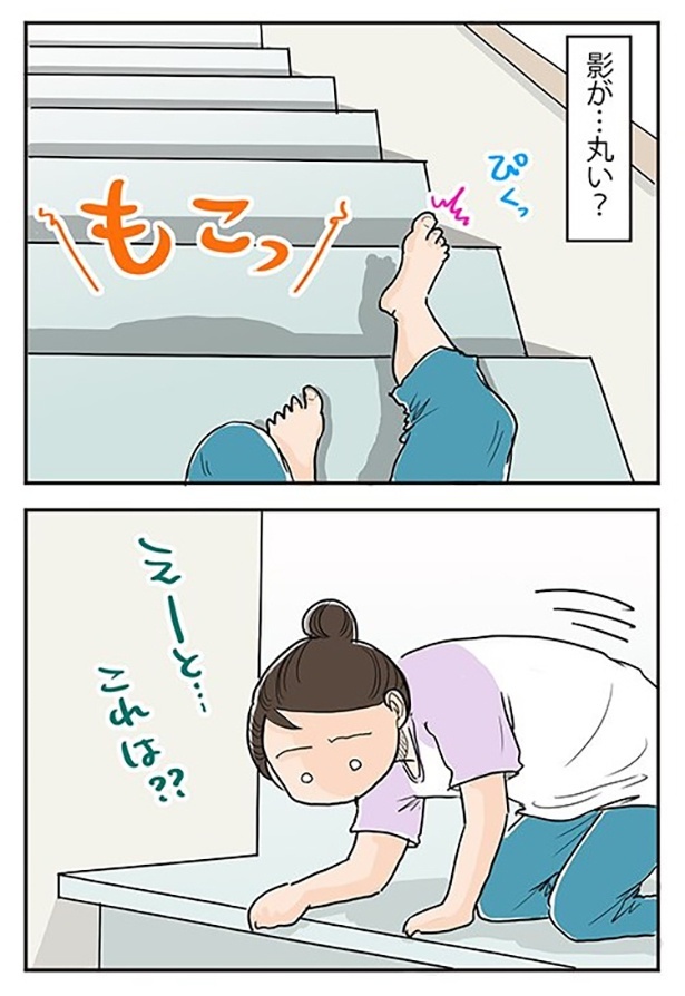 もこっとした影…これは一体!?