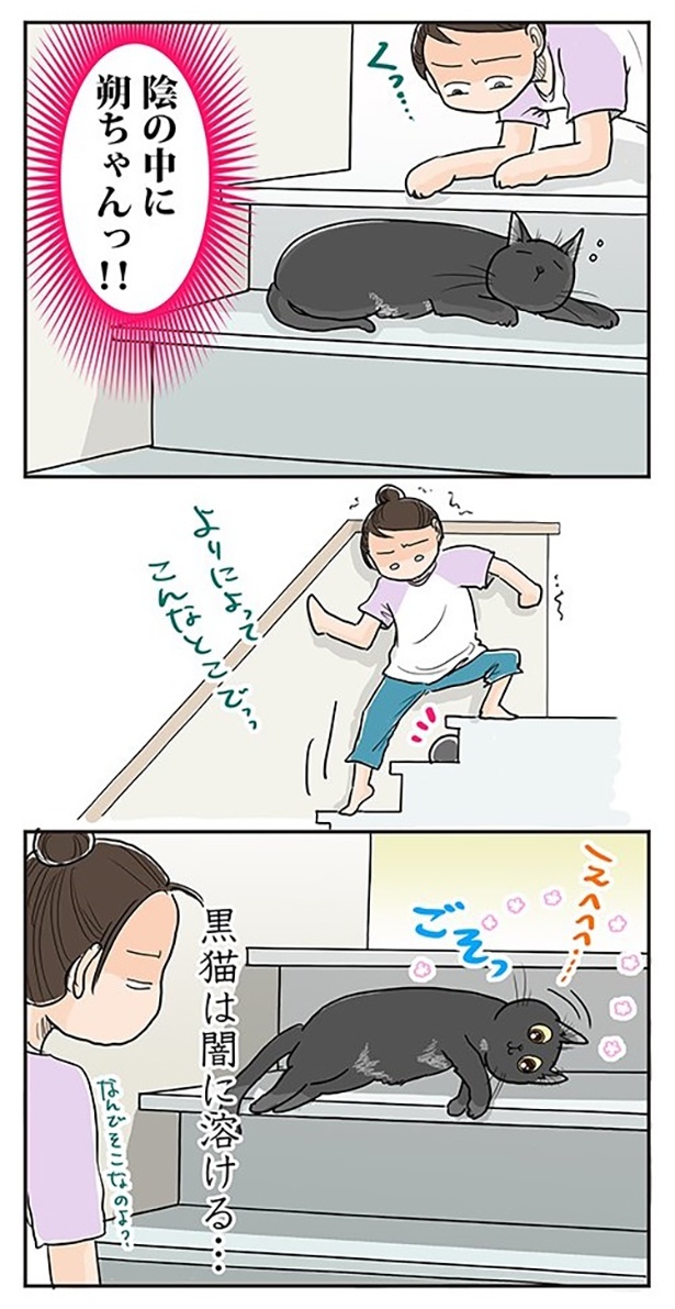 もこっとした丸い影の正体は…朔ちゃんだった！