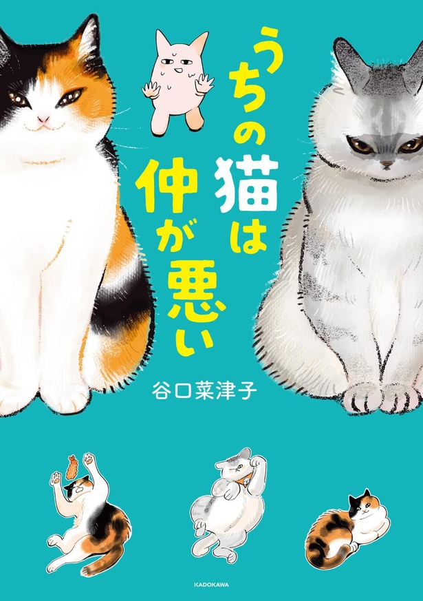 『うちの猫は仲が悪い』