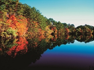 神秘の沼と紅葉のコントラストは必見！「五色沼湖沼群」の絶景