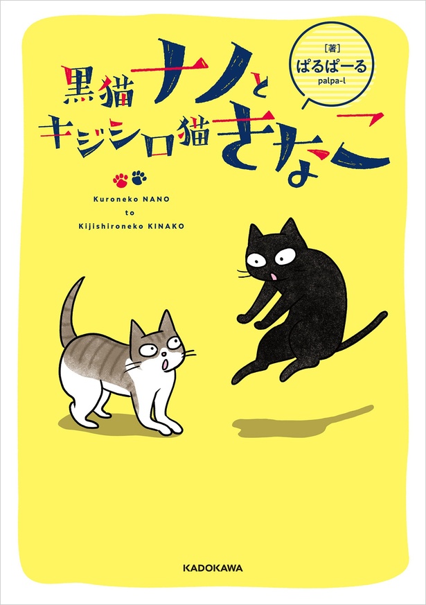 『黒猫ナノとキジシロ猫きなこ』