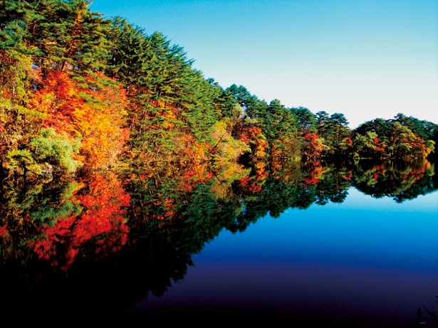 五色沼湖沼群の中で最も紅葉が見事な柳沼