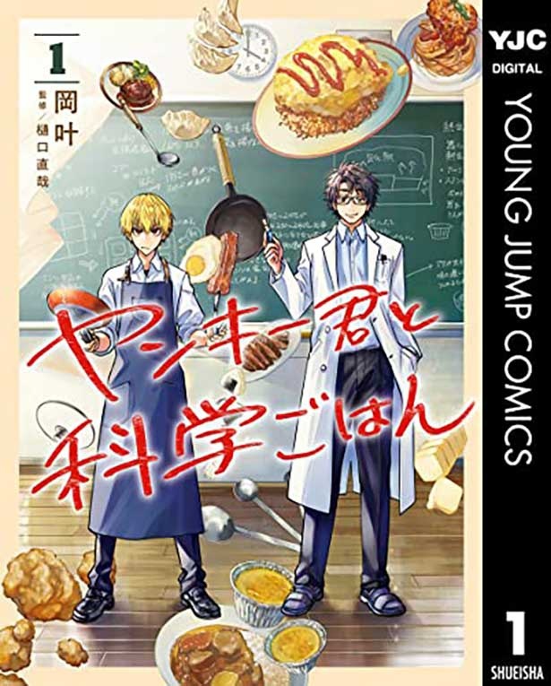 『ヤンキー君と科学ごはん』