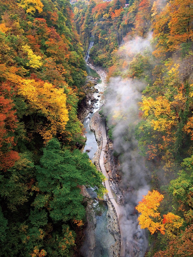 皆瀬川上流に広がる高さ60ⅿ、約8kmに及ぶ小安峡の紅葉は10月後半頃が見ごろ