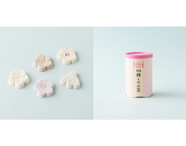 太宰府天満宮の菓子「梅とうぐいす」(1404円、写真左)と「梅こんぶ茶」(756円、右)。どちらも期間限定だ