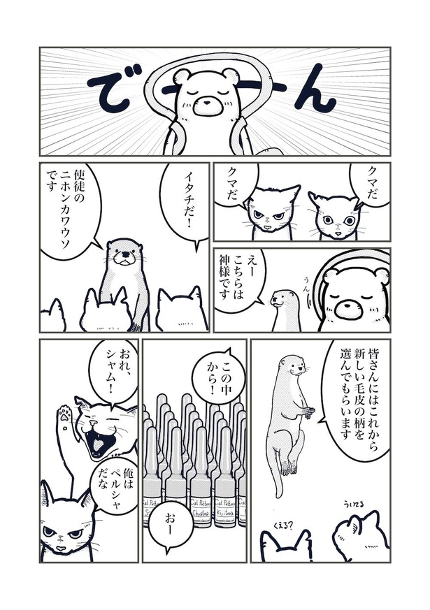 猫の柄の話し(2)