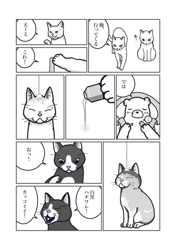 猫の柄の話し(4)