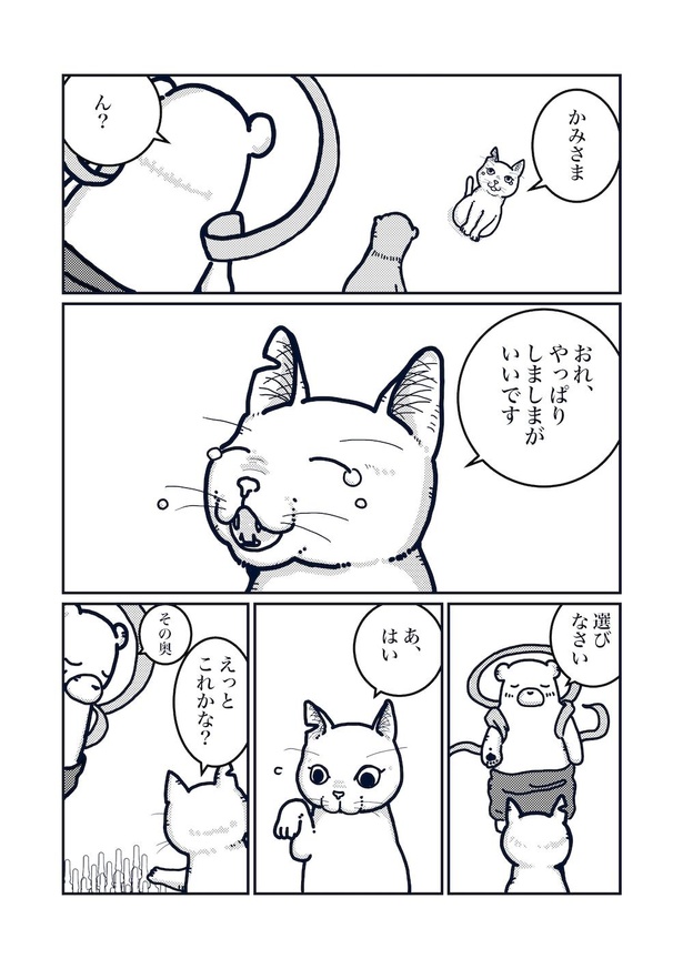 猫の柄の話し(7)