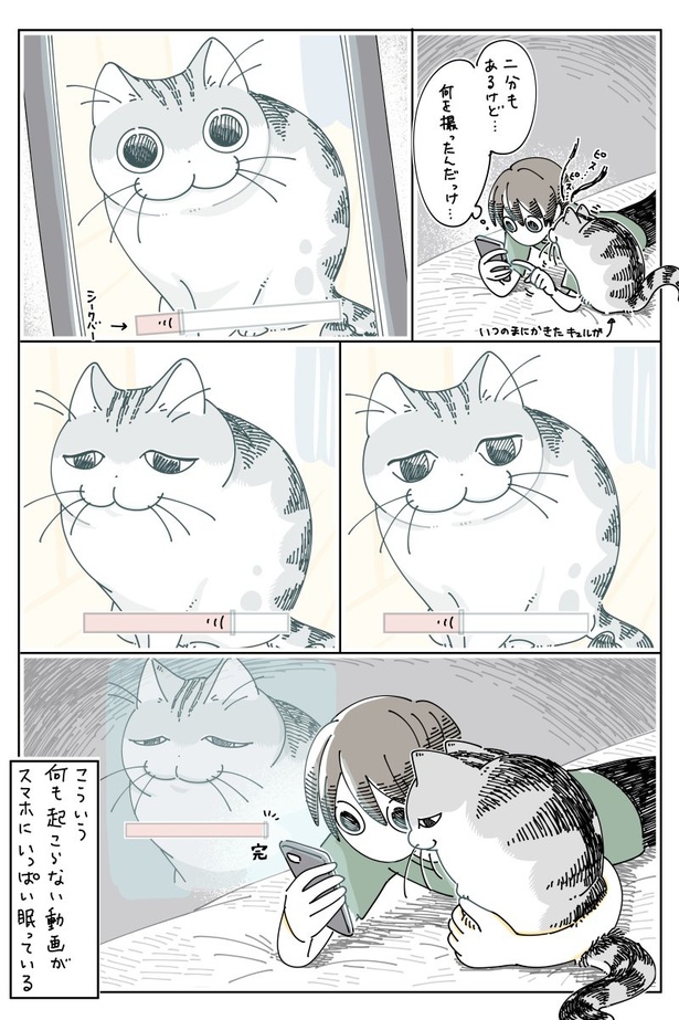 ネコ漫画】夜ふかしする飼い主に付き添う猫!?「心地いい声や振動は眠り 