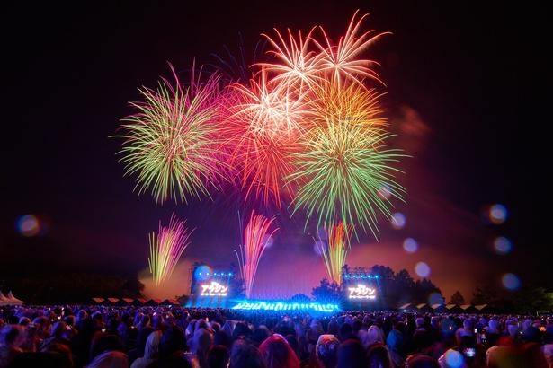 ディズニー音楽と花火の祭典「Disney Music & Fireworks」に潜入！目と耳で楽しむイベントの模様をレポート