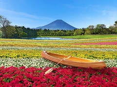 15品種、約9万株のカラフルな花々が咲き誇る「虹の花まつり」は2023年9月1日(金)から10月15日(日)まで開催