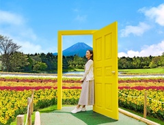 扉の向こう側に富士山と花畑が広がっているフォトスポット「幸せの黄色い扉」