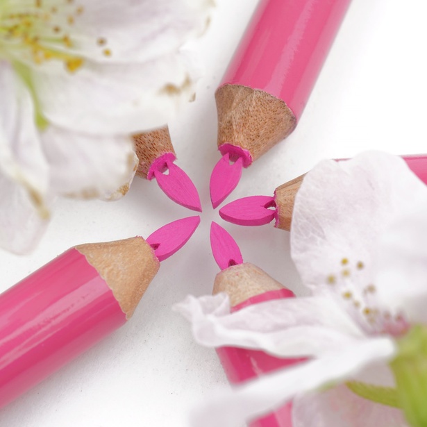 鉛筆の芯でできた桜