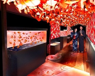 東京ウォーカー創刊1000号記念！すみだ水族館の金魚1000匹とコラボ！
