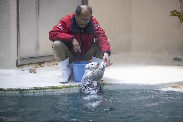 次々とオモチャを受け取るメイ