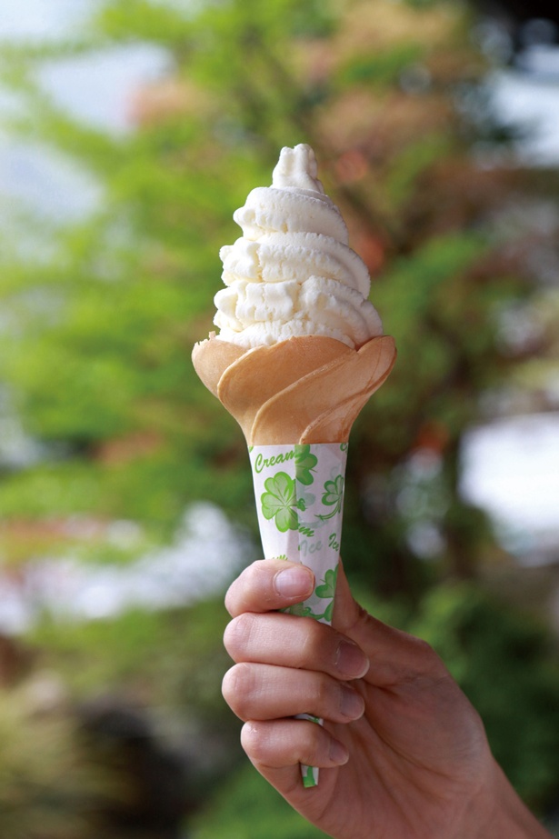 「五木屋本舗本店」の「豆腐ソフト」(300円)は、30%の豆腐を配合した濃厚なアイス。なめらかな舌触りが特徴だ