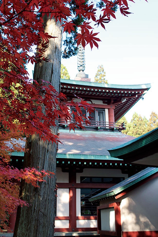 地元でも知る人ぞ知る隠れた紅葉の名所。歴史ある日本庭園に種類豊富な木々が彩りを添え、訪れる人を魅了する