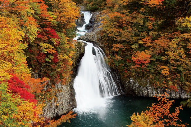 3つの滝からなる長さ100m、落差約57mの荘厳な滝。紅葉の風景は見事で10月21日(土)～29日(日)には紅葉まつりも催される